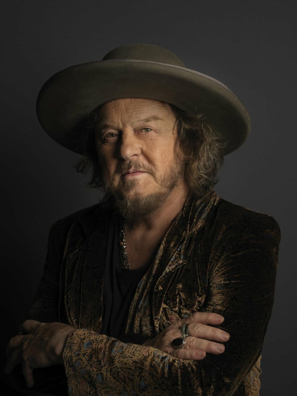 Zucchero — The Sweet Soul of Italian Blues